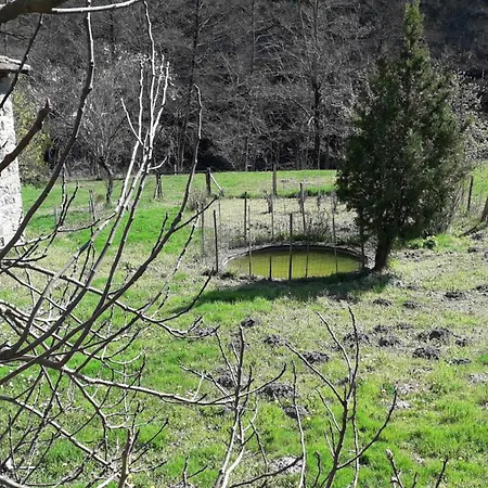Le Doux Marronnier